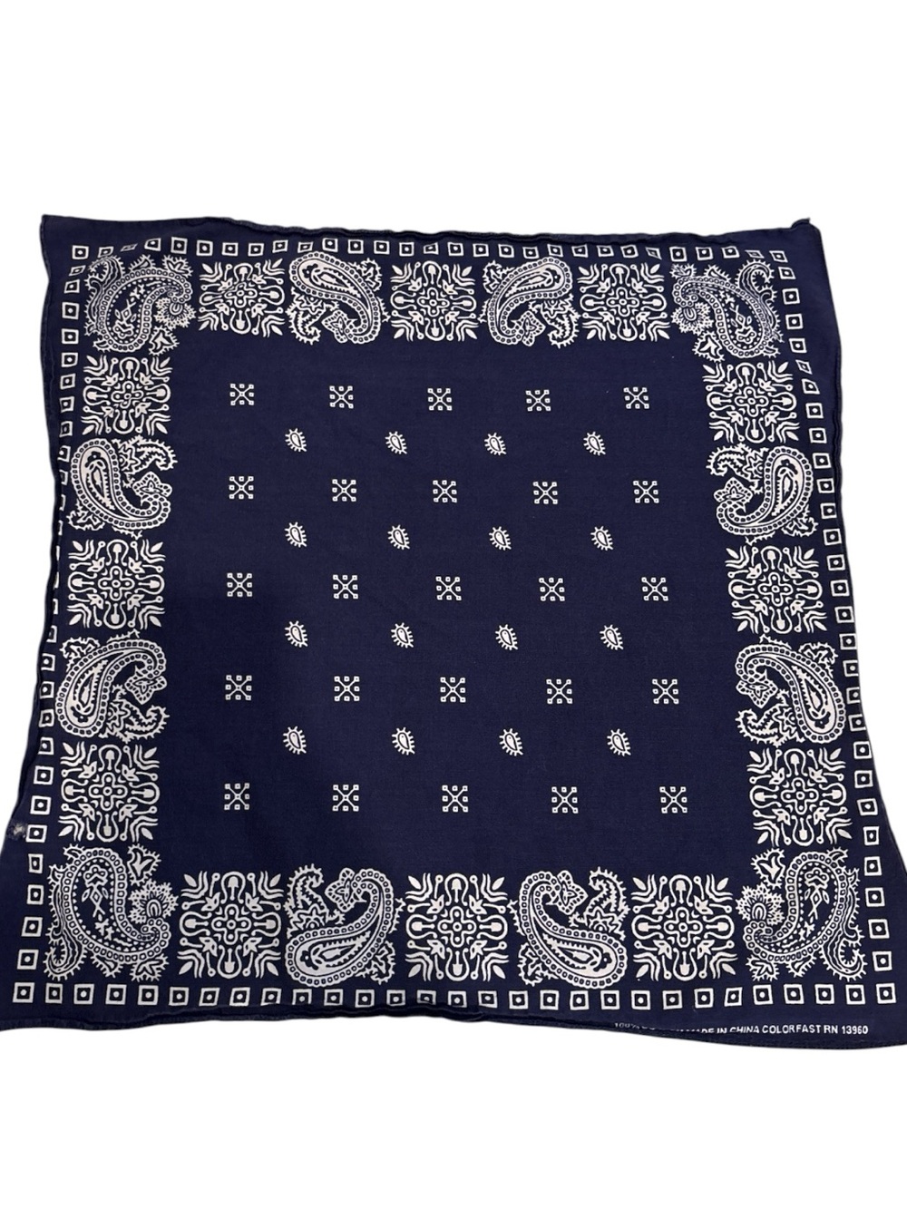 Blue and White Paisley Bandana
